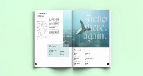 An open spread of Paperclip magazine
